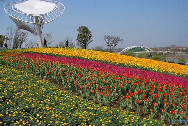 2021常州西太湖音乐节(地址,门票,时间表)信息一览