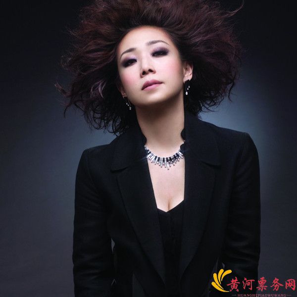 林忆莲西安演唱会