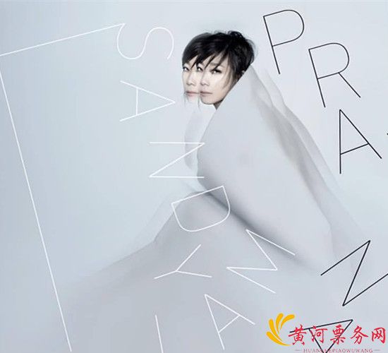 林忆莲西安演唱会
