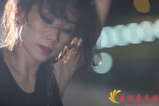 2017林忆莲合肥演唱会