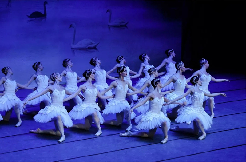 芭蕾舞天鹅湖南京站