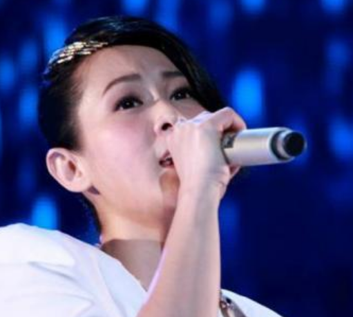刘若英无锡演唱会