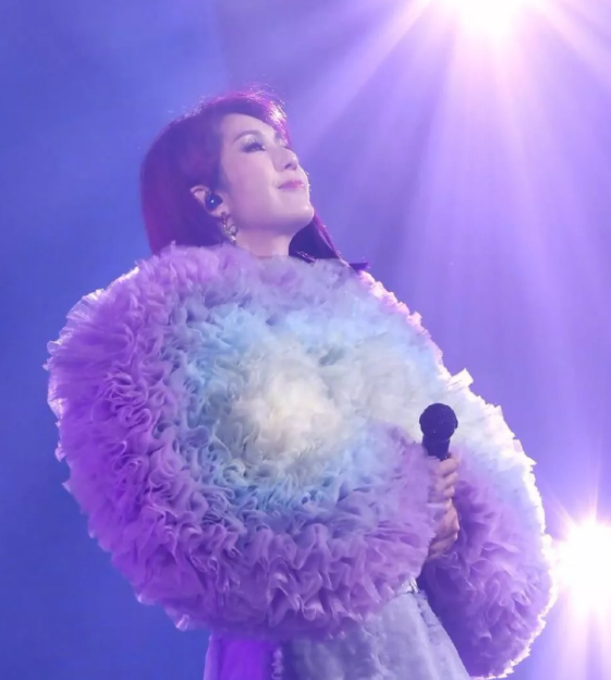 杨千嬅厦门演唱会