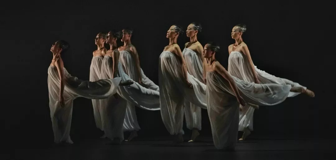 2021金星舞蹈团 现代舞专场《如梦的旅行》-上海站