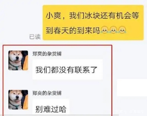 郑爽否认与张翰复合 劝粉丝别难过