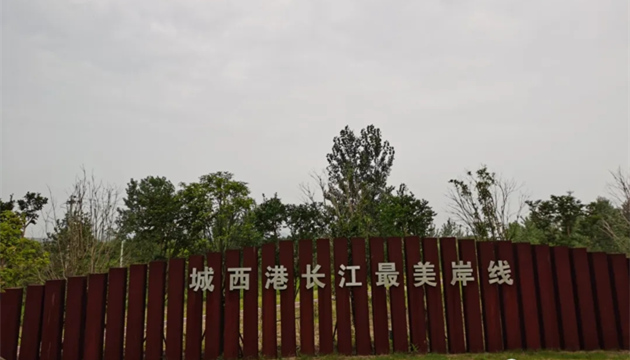 九江市城西港湿地公园