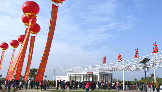 2020成都仙人掌音乐节