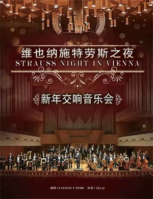 《维也纳施特劳斯之夜》北京音乐会