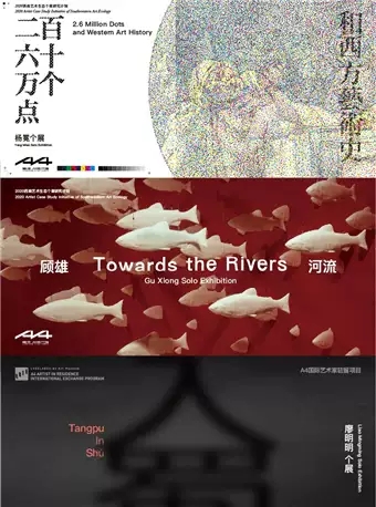 2020“杨冕：二百六十万个点和西方艺术史”&“顾雄 — 河流”&“廖明明：Tangpu入蜀”-成都站