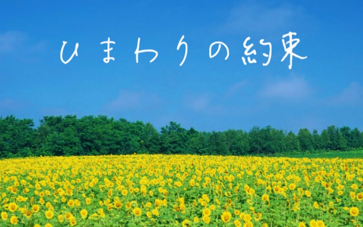2021音乐会《向日葵的约定》广州站演出详情、门票信息