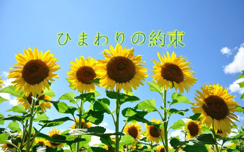 2021音乐会《向日葵的约定》广州站演出详情、门票信息