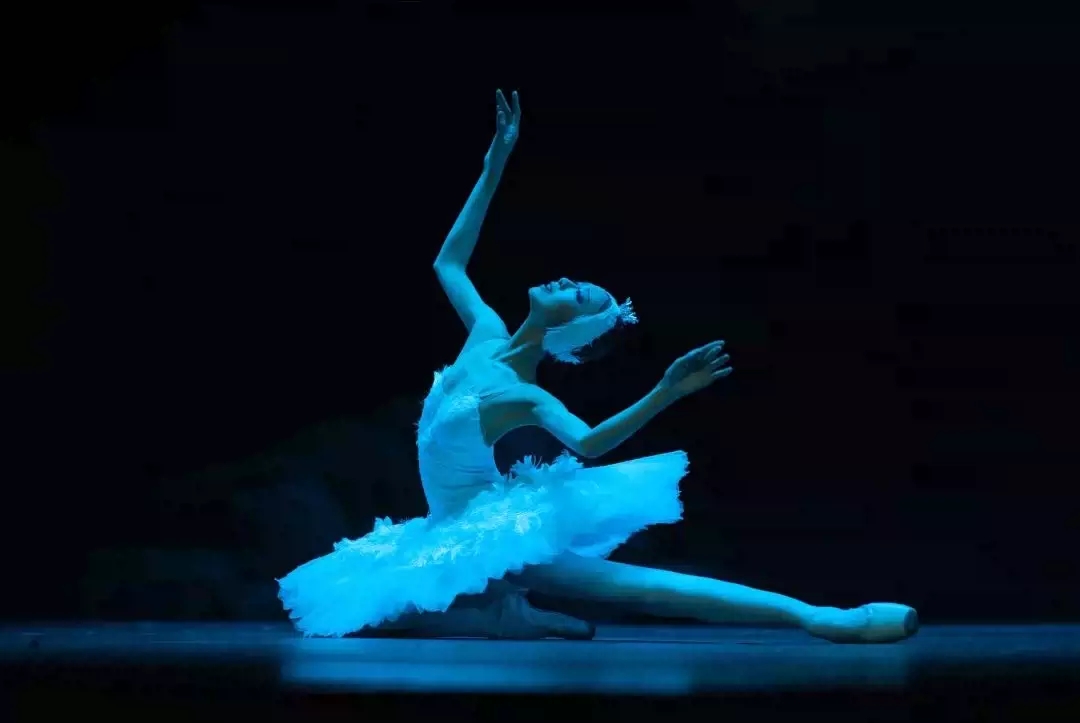 2021辽宁芭蕾舞团古典芭蕾舞剧《天鹅湖》-烟台站