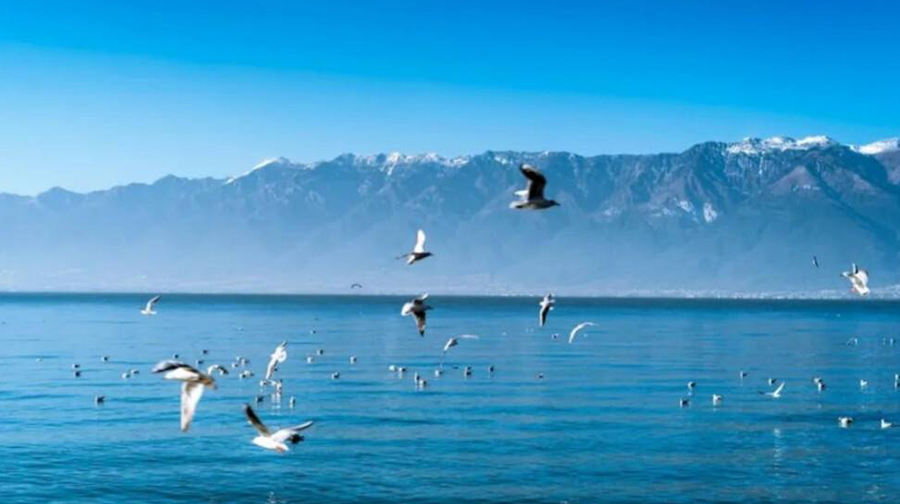 洱海