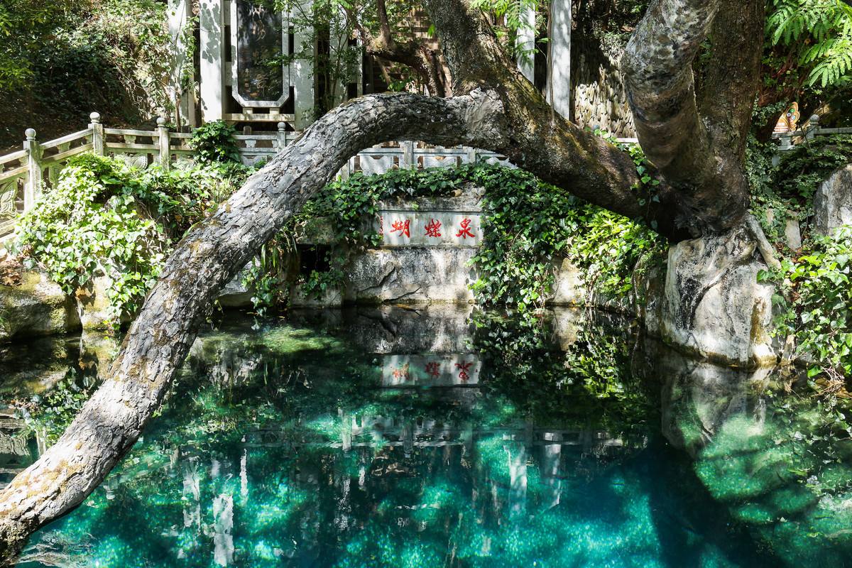 大理蝴蝶泉景区简介、订票指南
