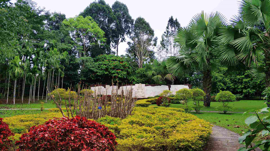 中科院西双版纳热带植物园