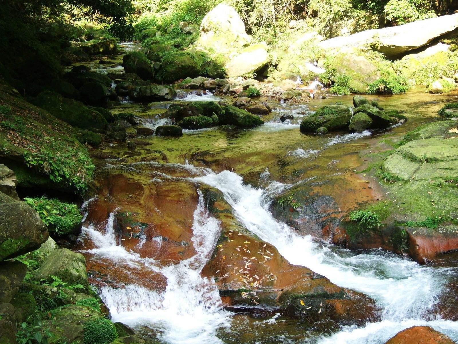 张家界金鞭溪大峡谷门票价格,景点介绍