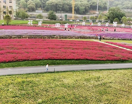 湘蜀田园野趣乐园