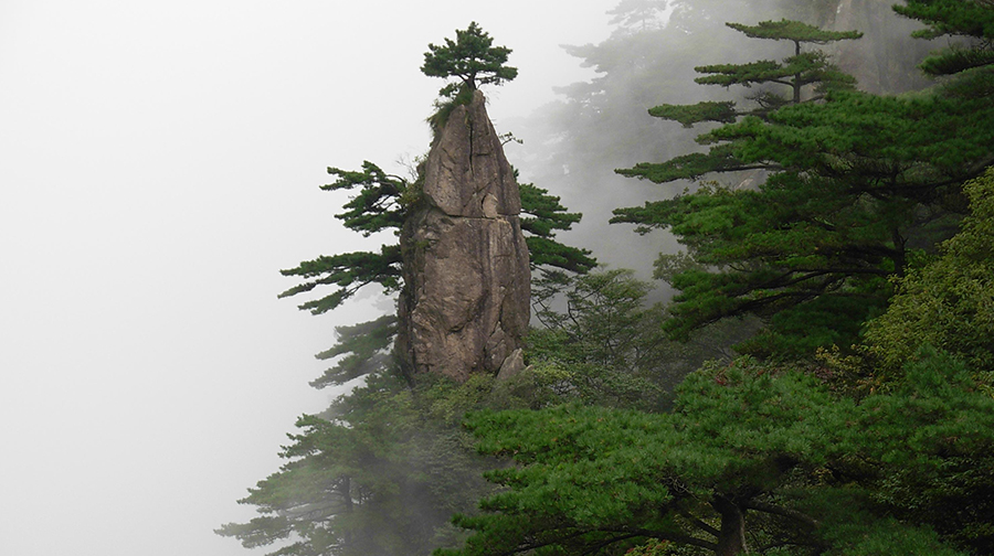 黄山梦笔生花原树图图片