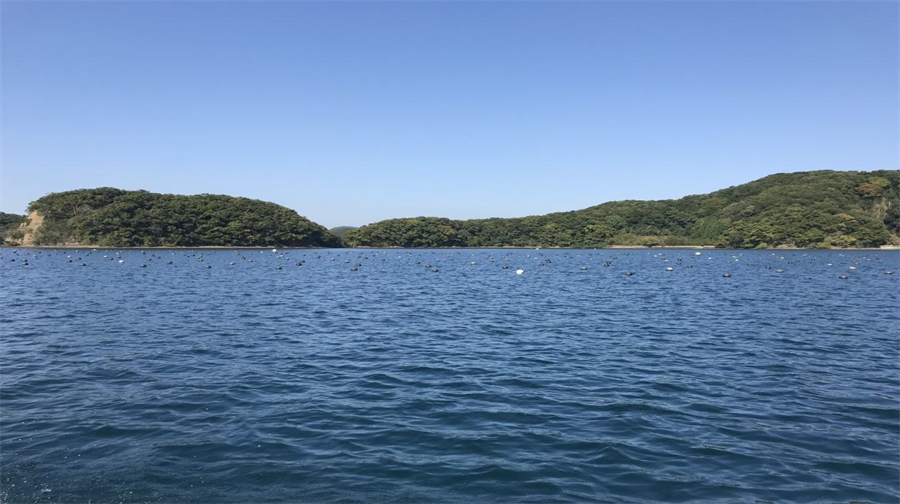 海陵珍珠养殖场