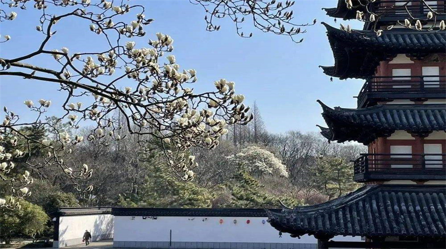 方塔园