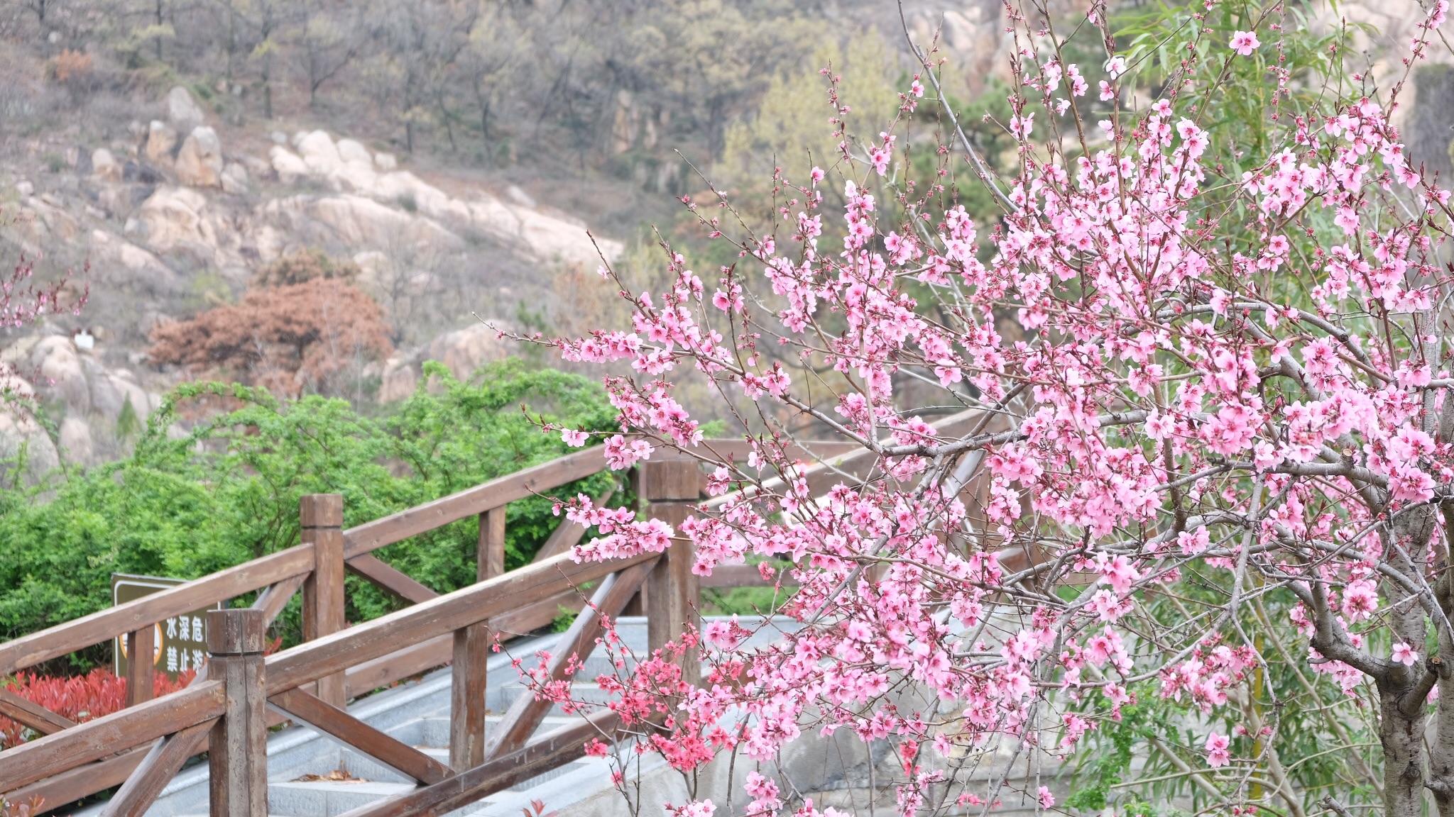 桃花涧是连云港最出名的景区之一,这里有着十分优美秀丽的自然景色,会