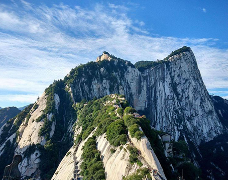 华岳仙掌