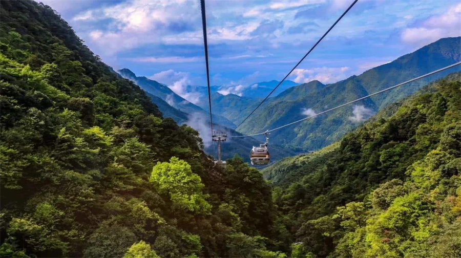百山祖景区