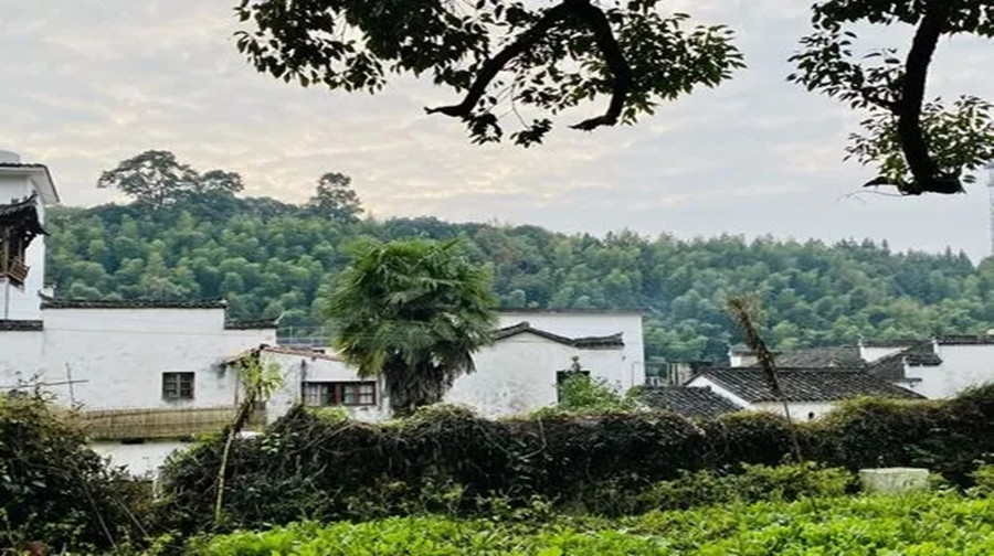 李坑景区