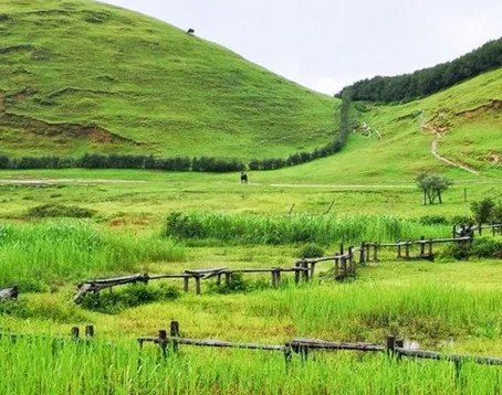 仰天湖大草原