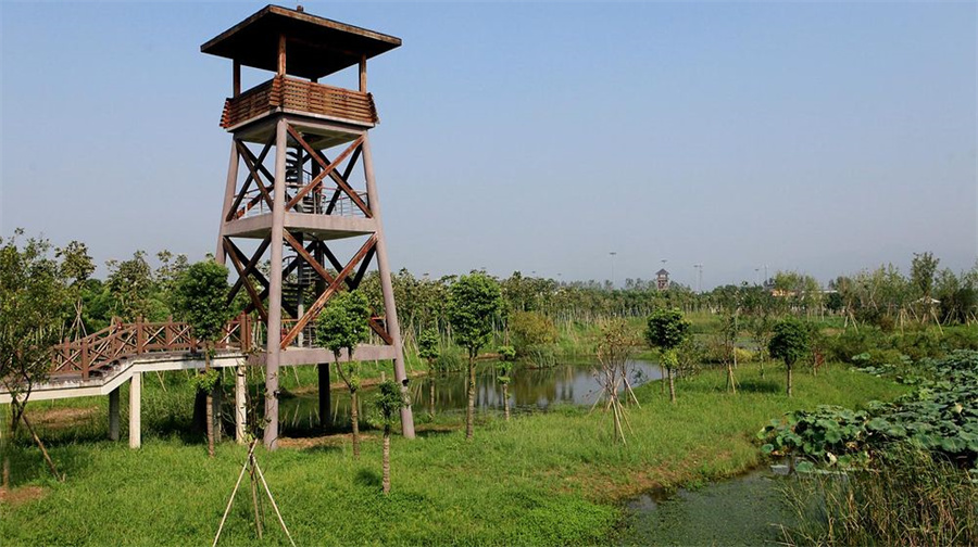 中国扬子鳄景区