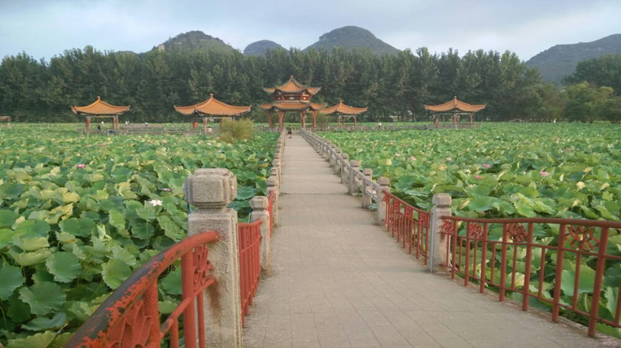 安龙招堤