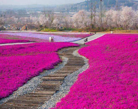 花仙子生态旅游区