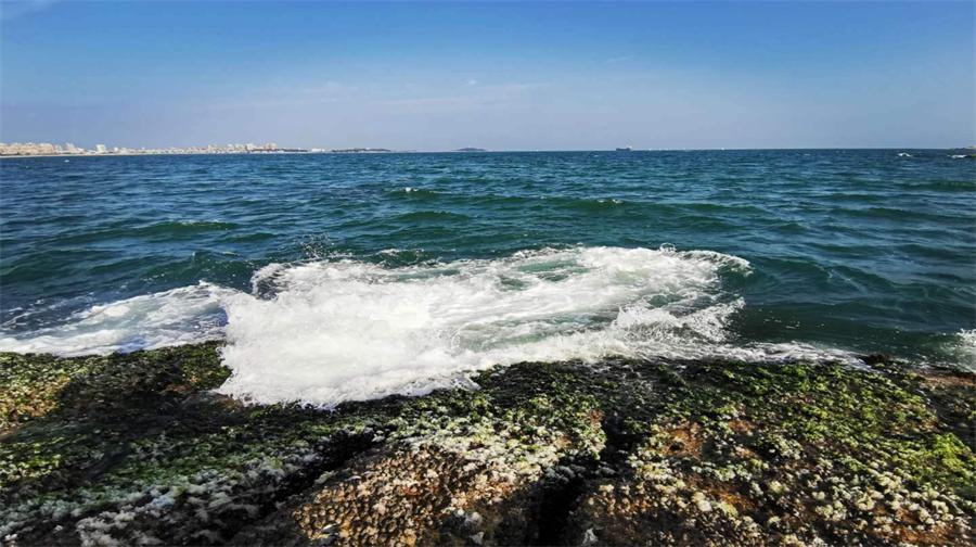 红海湾遮浪角