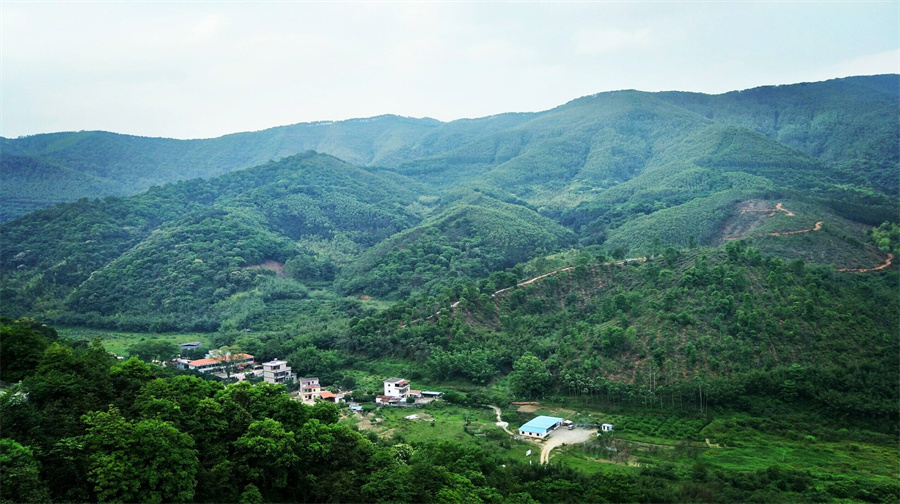 象頭山