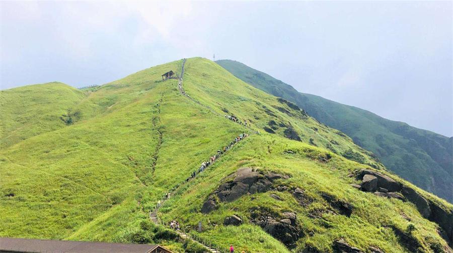 高山草甸
