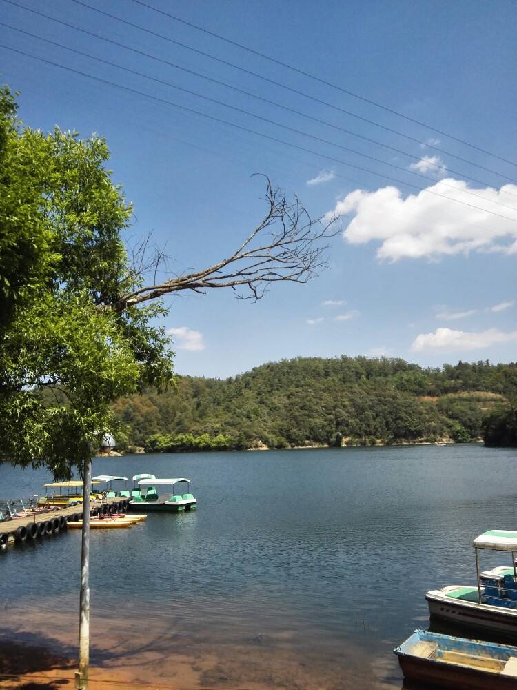 曲靖麒麟公園景區介紹,旅遊攻略-黃河票務網