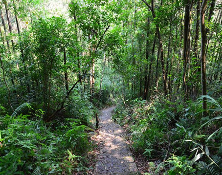 十万大山国家森林公园