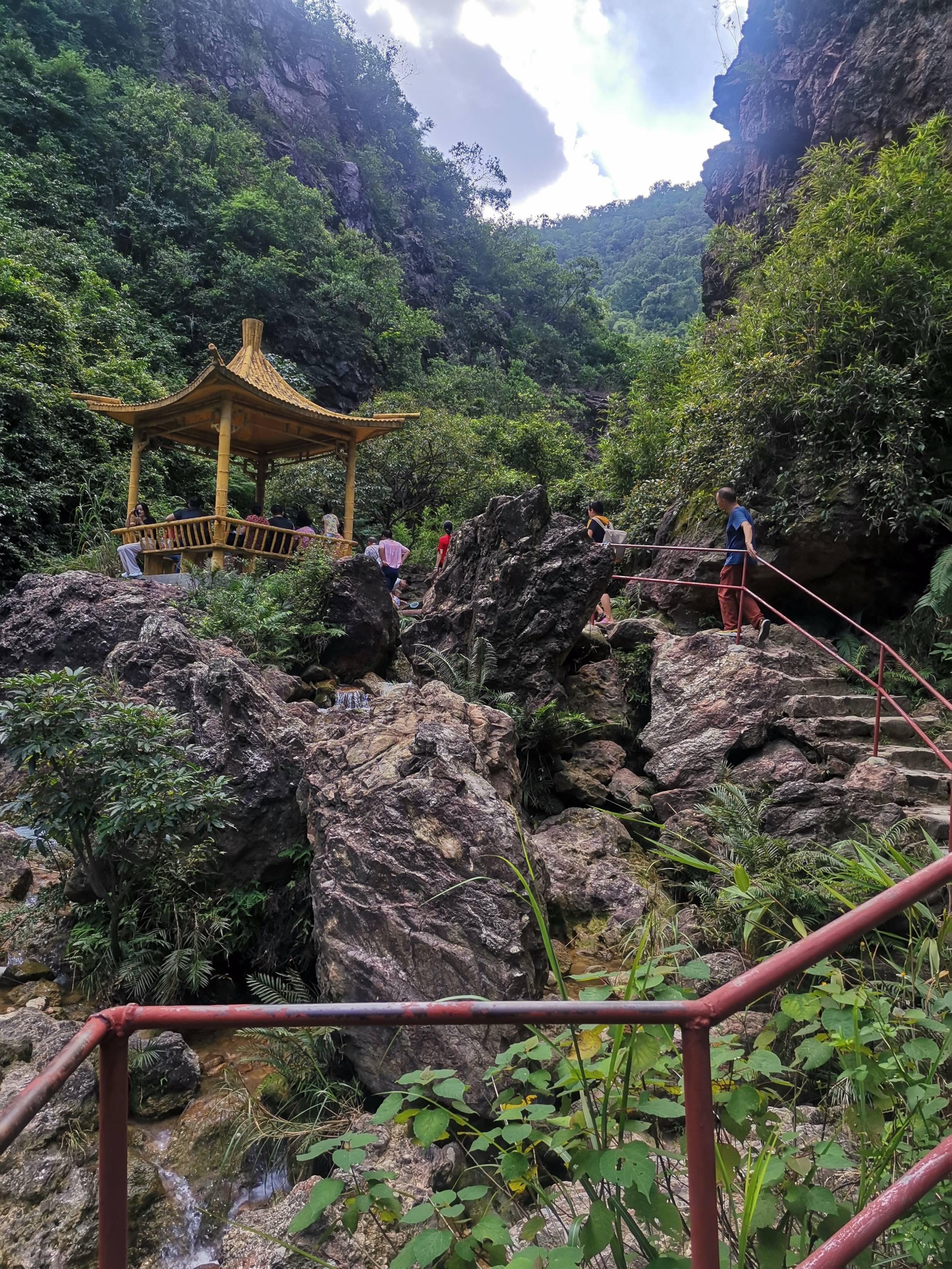 南海湾森林生态园电话图片