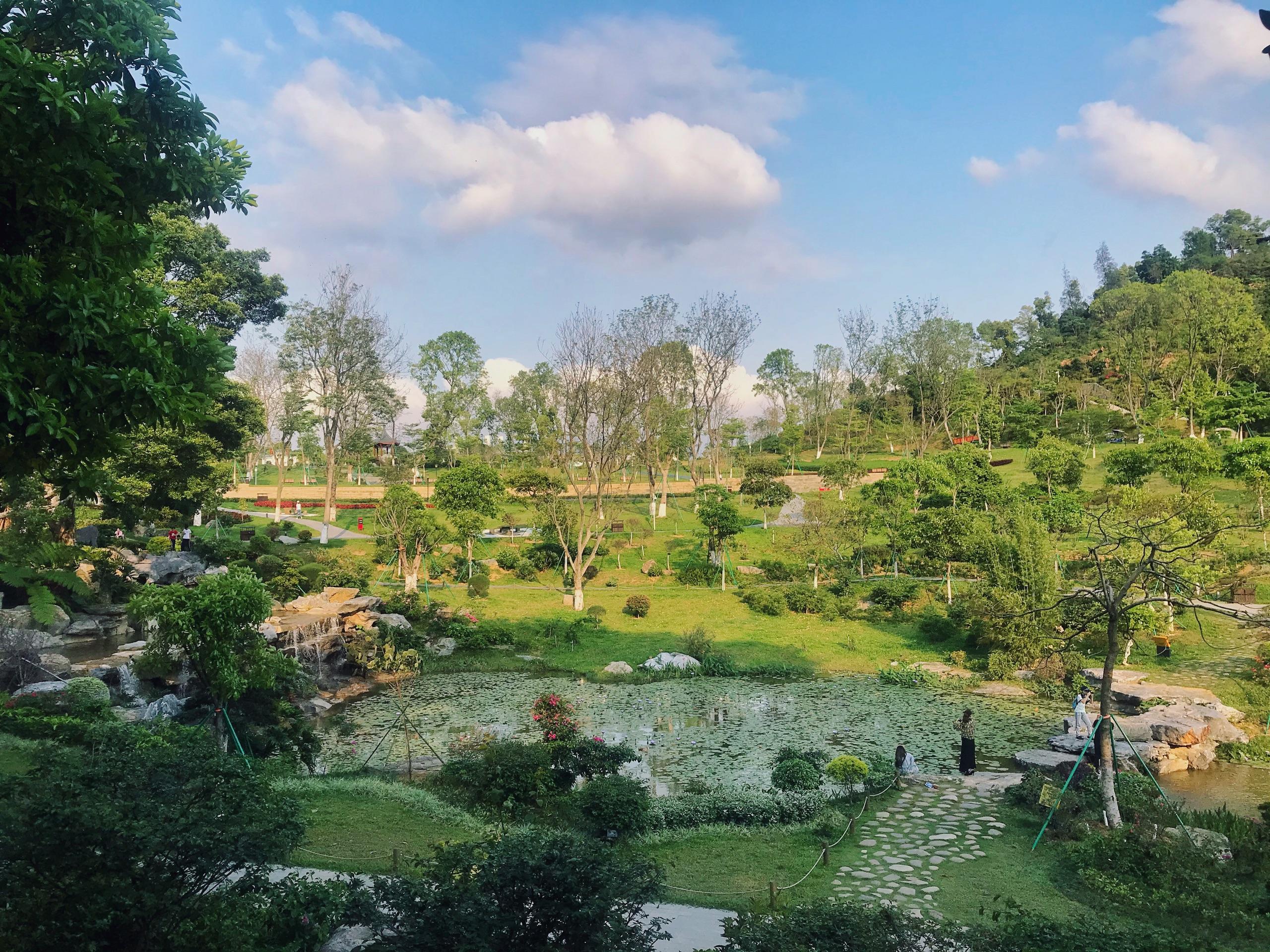 东莞植物园风景图片