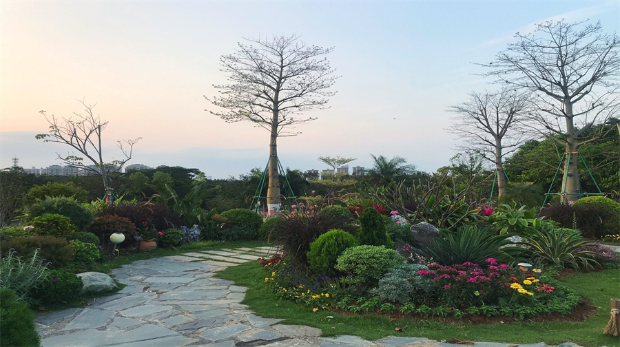 東莞植物園景點介紹,開放時間,門票價格-黃河票務網