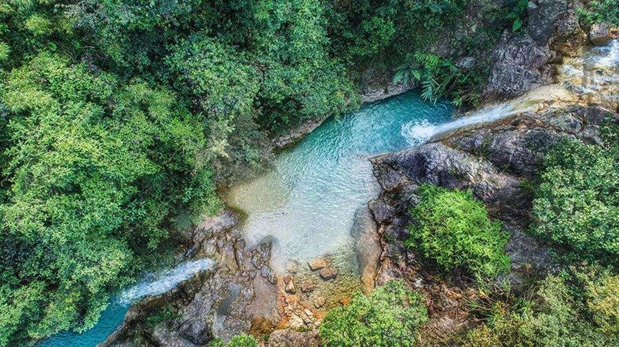 南海湾森林生态园