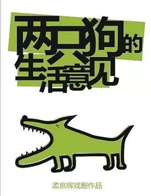 戏剧《两只狗的生活意见》深圳站