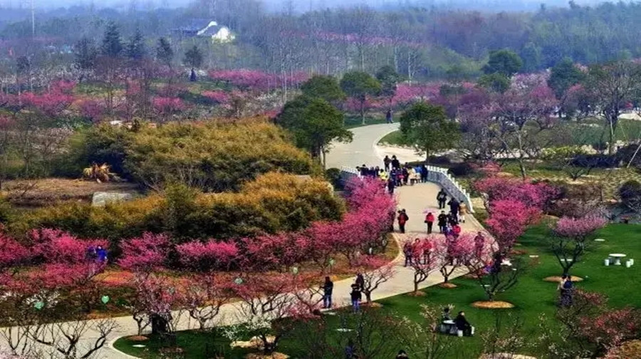 梅花山国家森林公园