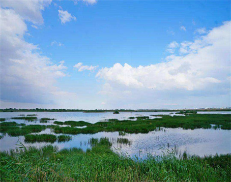 南海湿地景区