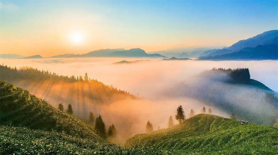 瓦屋山风景区