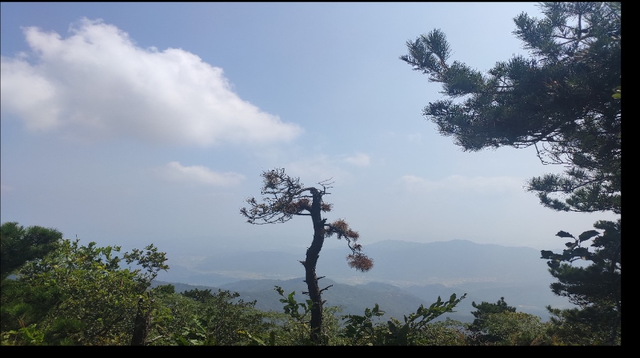 信息景点票价￥38起景点详情双峰山国家森林公园位于孝感市区东北部
