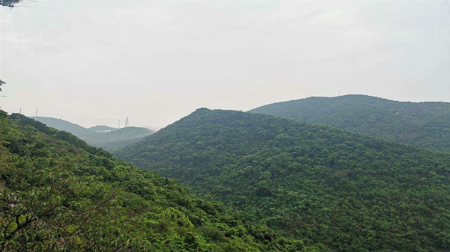 园山风景区