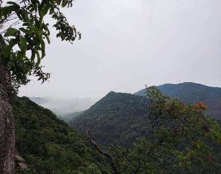 园山风景区