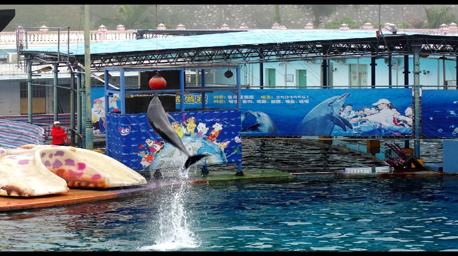 小梅沙海洋世界
