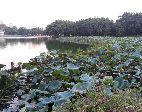 荔湾湖公园